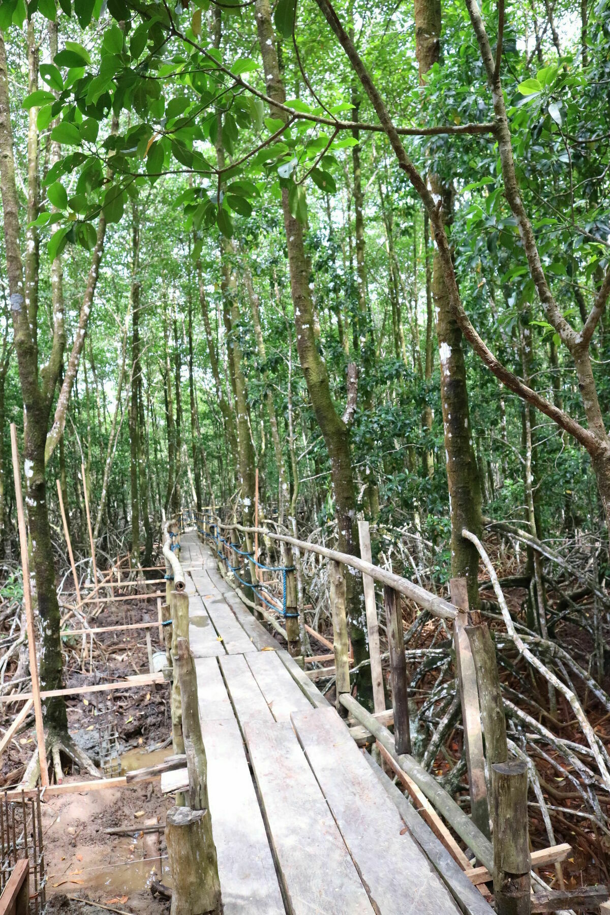Villa Israel Ecopark Эль-Нидо Экстерьер фото