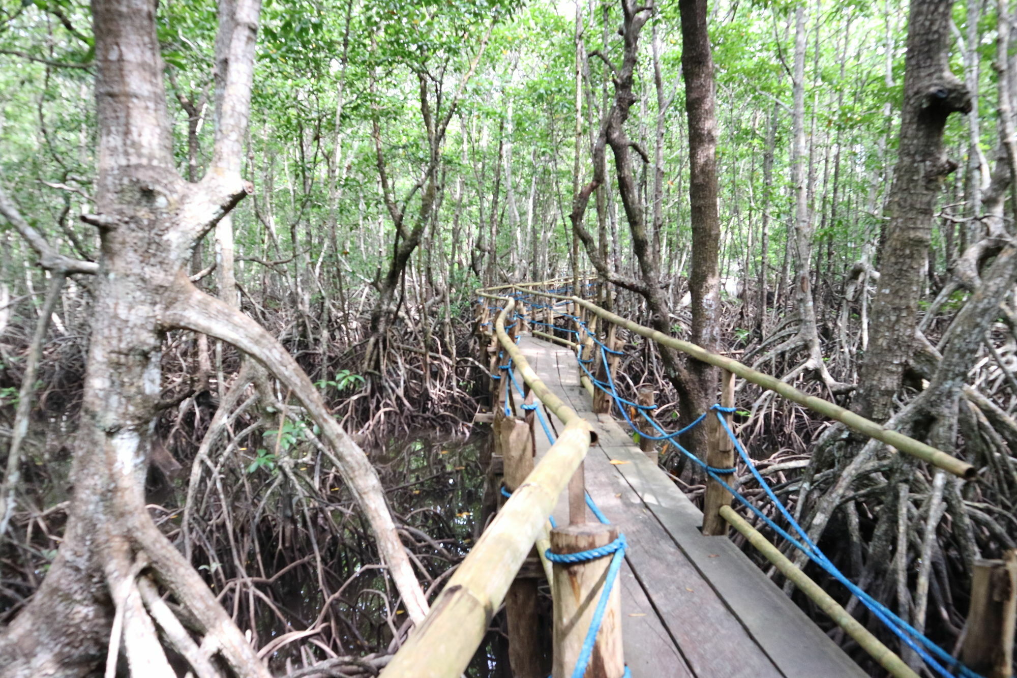 Villa Israel Ecopark Эль-Нидо Экстерьер фото